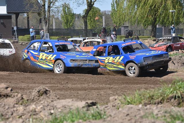 他们坚实的 他们坚实的