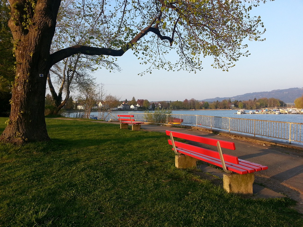 约的法乔利 约的法乔利