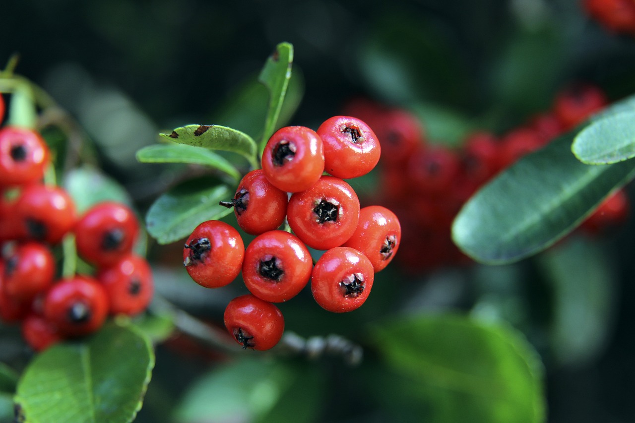 复杂的背景 复杂的背景