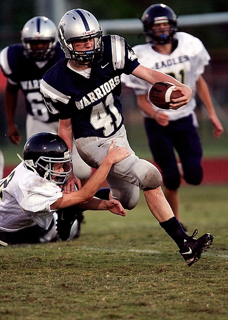 以其强大的 以其强大的